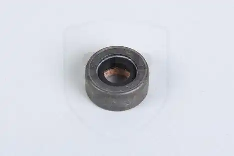 Сальник PB-559 SLP