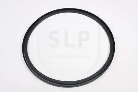 Сальник поршня PSL-207 SLP