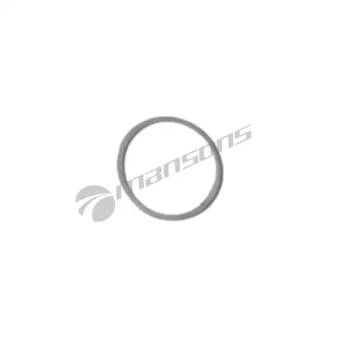 Шайба 700.076 MANSONS