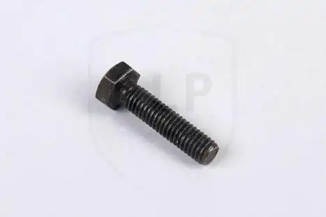 FLANGE SCREW SKR-542 SLP
