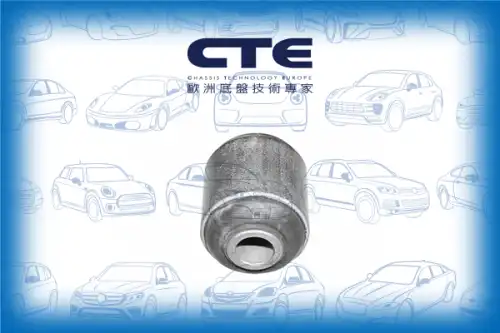 Рычаг подвески CTE CBH01016