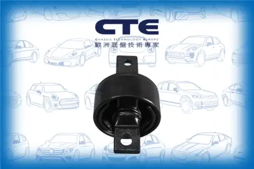 Рычаг подвески CTE CBH01023