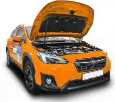 Амортизатор капота RIVAL A.ST.5401.1