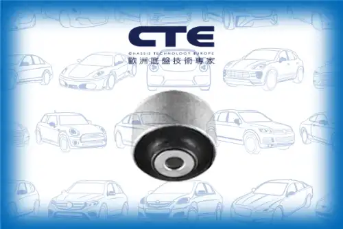 Рычаг подвески CTE CBH19025