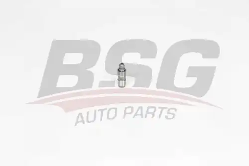 Гидрокомпенсатор BSG BSG 15-122-025