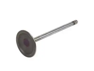 VALVE,INT(STD) 12575351 BUICK
