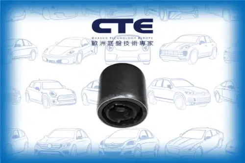 Рычаг подвески CTE CBH09033