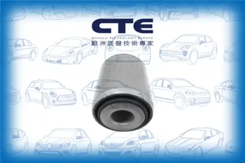 Рычаг подвески CTE CBH09043