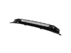 Grille - front bumper 86560G2000 HYUNDAI