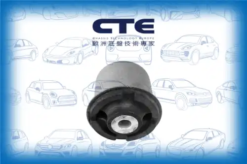 Рычаг подвески CTE CBH21022