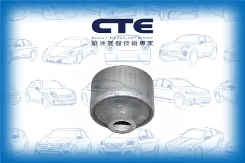 Рычаг подвески CTE CBH03023