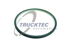 Прокладка 01.30.012 TRUCKTEC