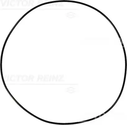 Уплотняющее кольцо 40-76910-10 VICTOR REINZ