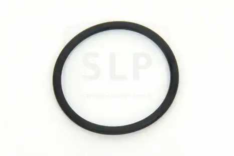 О-КОЛЬЦО / OR-066 SLP