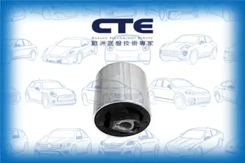 Рычаг подвески CTE CBH09023