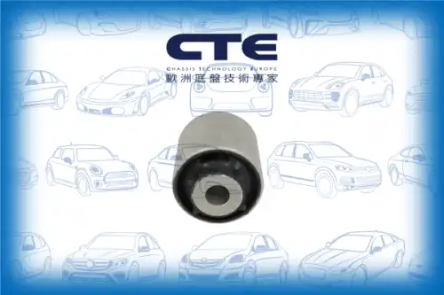 Рычаг подвески CTE CBH09055