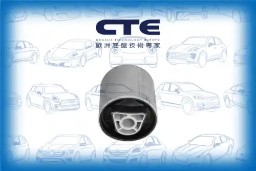 Рычаг подвески CTE CBH09058