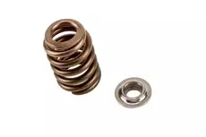 SPRING KIT,VLV(INCLS 205) 19257200 BUICK