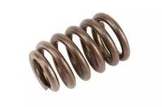 SPRING KIT,VLV(INCLS 205) 19257200 BUICK