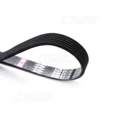 CS20 13177