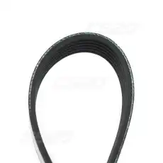 CS20 13182