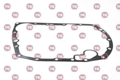 Прокладка, ZF 0501321879 T80245 TAS