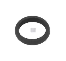 SEALING RING 2.10203 DT