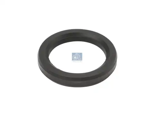SEALING RING 2.11419 DT