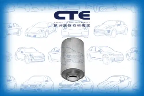 Рычаг подвески CTE CBH18001