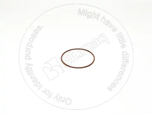 УПЛОТНИТЕЛЬНОЕ КОЛЬЦО 6V1197 BLUMAQ