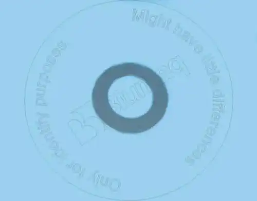 1912690 ШАЙБА BLUMAQ