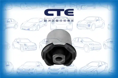 Рычаг подвески CTE CBH31007
