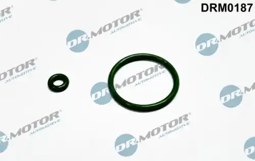Кольцо уплотнительное форсунки DR. MOTOR DRM0187