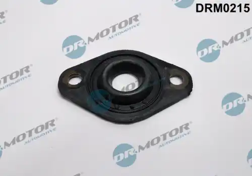 Кольцо уплотнительное форсунки DR. MOTOR DRM0215