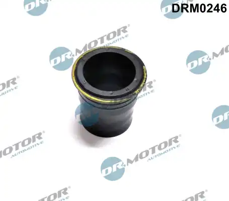 Кольцо уплотнительное форсунки DR. MOTOR DRM0246