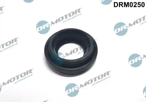 Кольцо уплотнительное форсунки DR. MOTOR DRM0250
