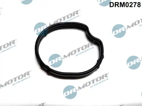 Прокладка DRM0278 DR. MOTOR