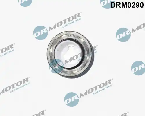 Сальник DRM0290 DR. MOTOR