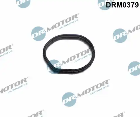 Прокладка DRM0379 DR. MOTOR