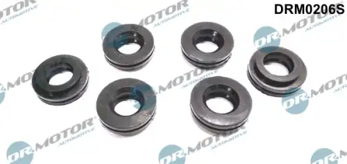 Кольцо уплотнительное форсунки DR. MOTOR DRM0206S