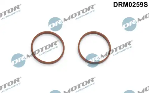 Прокладка коллектора DR. MOTOR DRM0259S