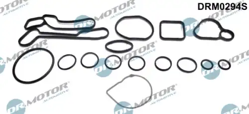 Комплект прокладок двигателя DR. MOTOR DRM0294S