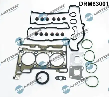 Комплект прокладок двигателя DR. MOTOR DRM63001