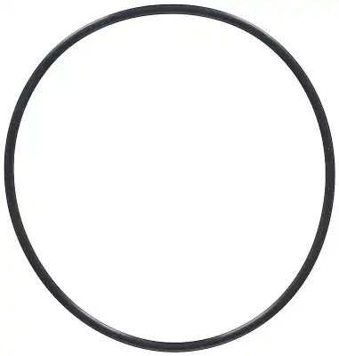 794.570 Уплотнительное кольцо ELRING