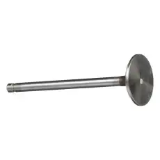VALVE, ENG EXHAUST, STD 4895188 NEW HOLLAND