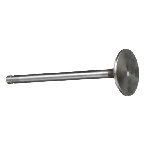 VALVE, ENG EXHAUST, STD 4895188 NEW HOLLAND