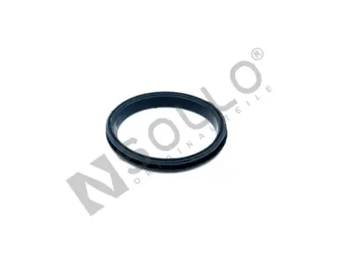 Прокладка (кольцо упл.) GEN2 02D10170 SOLLO