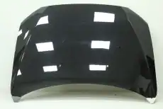Капот Mitsubishi Lancer X Черный X42 5900A209X42 DAR