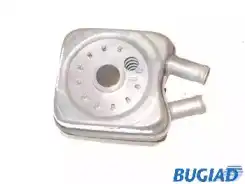 Масляный радиатор BUGIAD BSP20296
