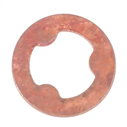 Шайба форсунки AGCO V837069032